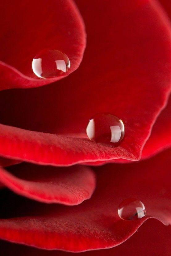 Your Red Tent - personal session during menstruation